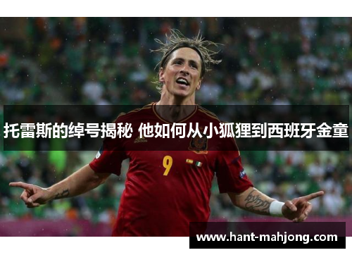 托雷斯的绰号揭秘 他如何从小狐狸到西班牙金童 托雷斯的绰号揭秘 他如何从小狐狸到西班牙金童